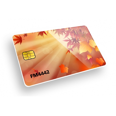 Stampa Tessere in Offset 4+4 con tecnologia chip FM4442